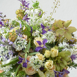 Blumen Bestellung KORNROSE Beringen